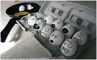 Яйца с мордочками