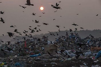 Крупнейшая в Новосибирске мусорная свалка
