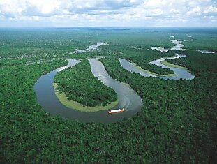 Захватывающие кадры из амазонских лесов (46 фото)