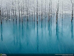 Победители конкурса фотографии National Geographic 2011