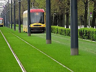 Европа — газоны на трамвайных путях