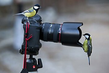 Сфотаемся на паспорт?