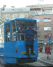 Фотожаба: Заяц на трамвае