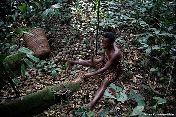 В Африке есть племя пигмеев, которое верит, что человек после смерти попадает в Европу