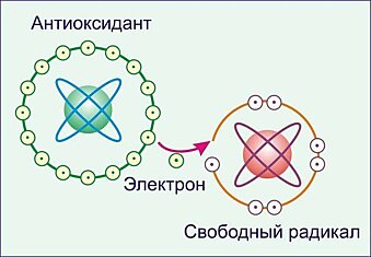 Спасает ли готовка от пестицидов в фруктах, овощах, зелени итд?