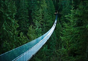 Канадский подвесной мост