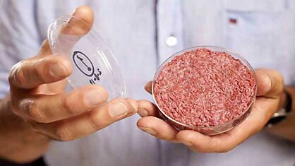 Искусственно выращенное в лаборатории мясо появится в продаже в ближайшие 5 лет