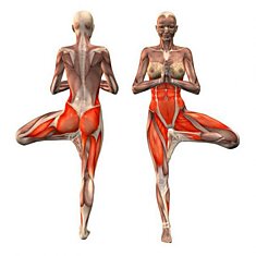 Упражнение «Живые суставы» при артрите
