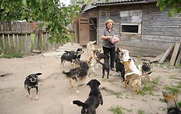 Cамый большой в Беларуси приют бездомных животных