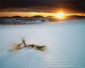 Национальный памятник White Sands в США: территория «вечного снега»