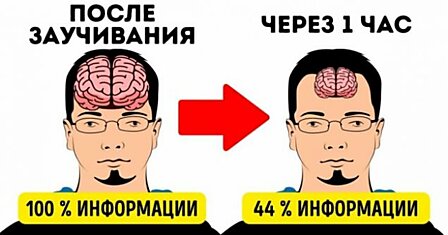 12 секретов памяти, чтобы запоминать иностранные слова с первого раза