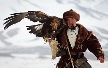 Охота с беркутами в Казахстане (16 фото)