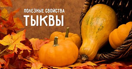 Что произойдет, если регулярно есть тыкву: полезные свойства вкусного овоща.