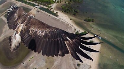 Впечатляющие снимки с высоты птичьего полета