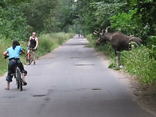 Рэкет на дороге