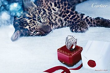 Рождественские котики Cartier