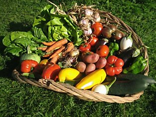 Органическое сельское хозяйство может накормить мир