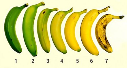 Ученые Выяснили, Какие Бананы На Самом Деле Полезны Для Организма