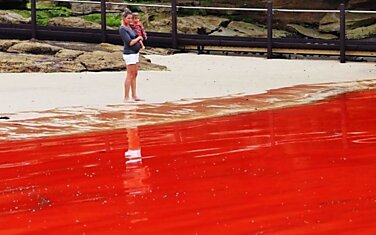 Кровавый океан в Австралии (10 фото)