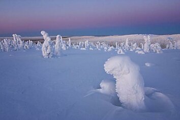 Снежные скульптуры природы