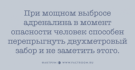 Впечатляющие факты о всяком разном, приводящие в удивление