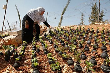 «Во имя мира» - благородная идея одной палестинской женщины