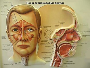 Эта ВАЖНАЯ процедура предохранит Вас от многих заболеваний