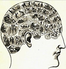 Проблема сознания в психологии и философии: кто управляет нашими мыслями?