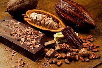 Какао-масло: чудодейственное средство для Вашей красоты