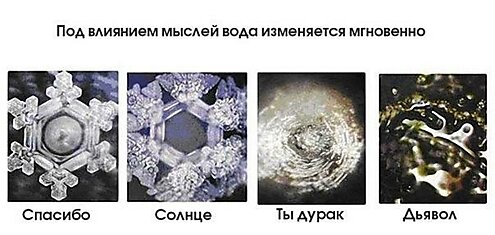 САМЫЙ СМЕРТЕЛЬНЫЙ И ОПАСНЫЙ ЯД НА ЗЕМЛЕ!