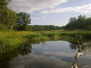 Кому рыбалка, а кому охота