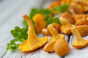 6  вкуснейших рецептов засолки грибов