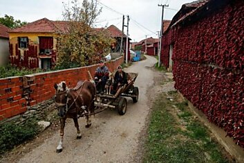 Сербская “столица паприки”