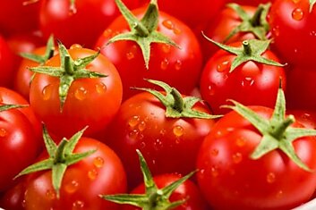 Можно ли есть безвкусные помидоры из супермаркета или лучше всё-таки выбросить
