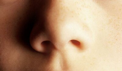 Нос человека