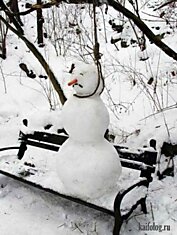 Прикольные снеговики (55 фото)