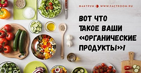 Вот что такое ваши «органические продукты»! У разбирающегося в химии человека накипело