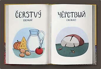 Веселый чешско-русский словарь