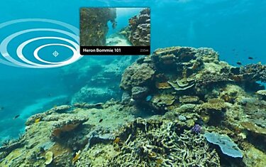 Учёные и Google начали панорамную съёмку Кораллового моря