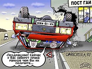 Смешные карикатуры (41 картинка)