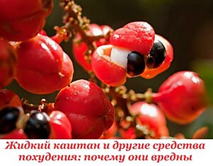 Жидкий каштан и другие средства похудения: почему они вредны.