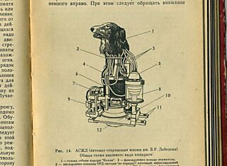 Биоробот из СССР (8 фото)