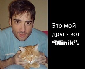 История про кота Миник (9 картинок)