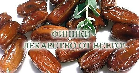 20 ФАКТОВ О ФИНИКАХ