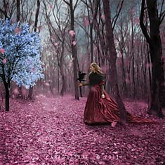 Изумительные фотоманипуляции Caras Ionut