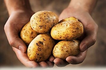 Как и зачем внедряли картофель на Руси