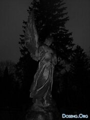 Во Львове предлагают экскурсии по ночному кладбищу