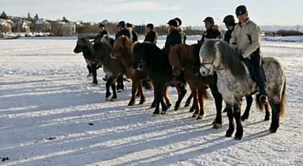 Поехали! (5 фотографий)