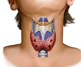 12 признаков того, что надо проверить щитовидную железу