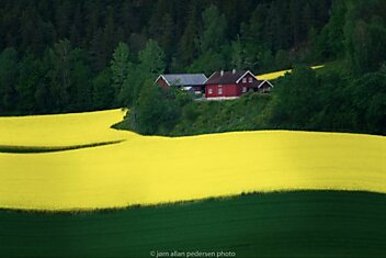 20 фотографий без капли фотошопа